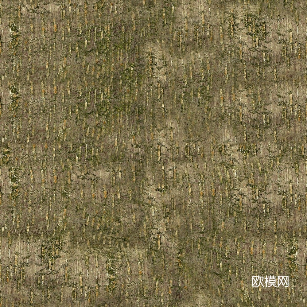 树皮