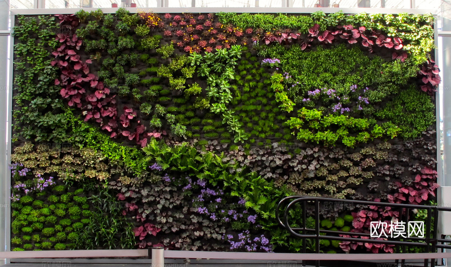 植物墙