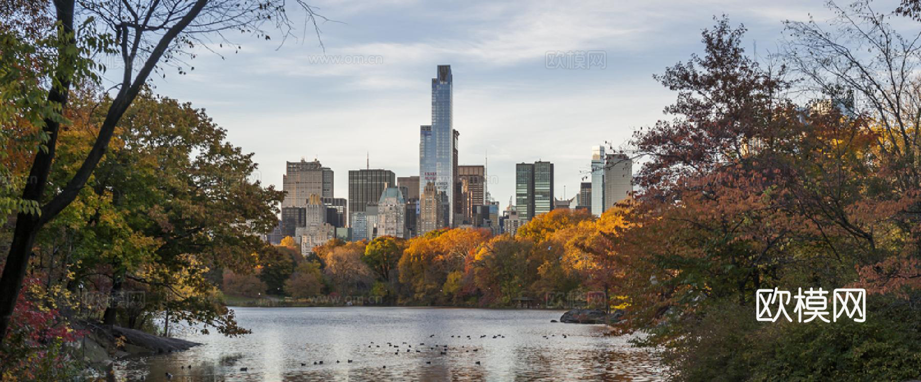 白天城市外景下载