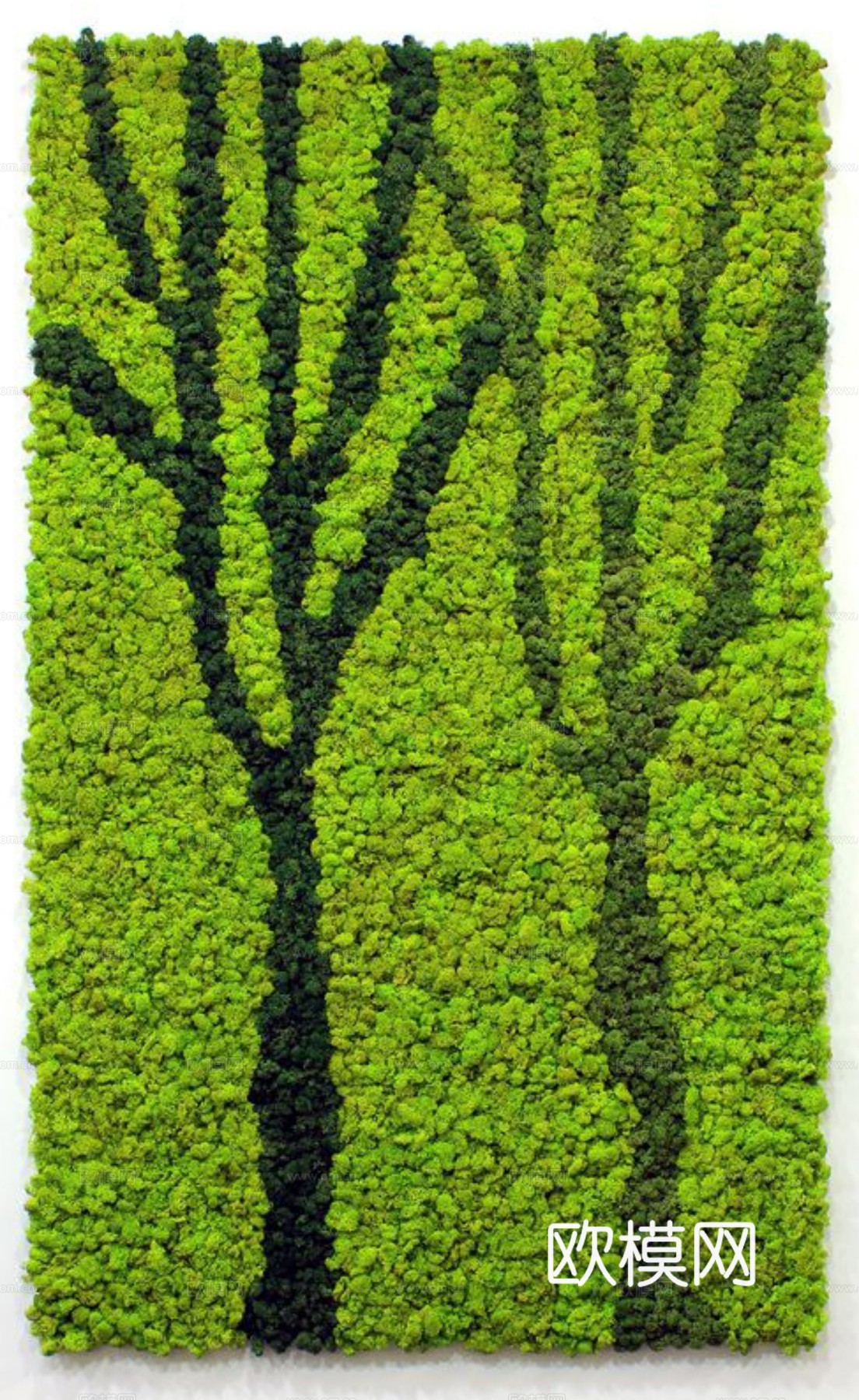 现代 植物墙下载