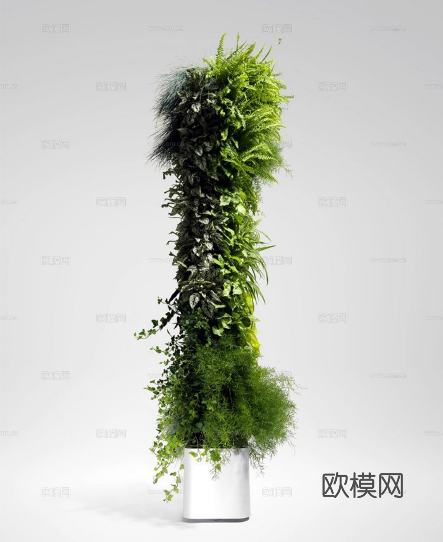 现代 植物墙下载
