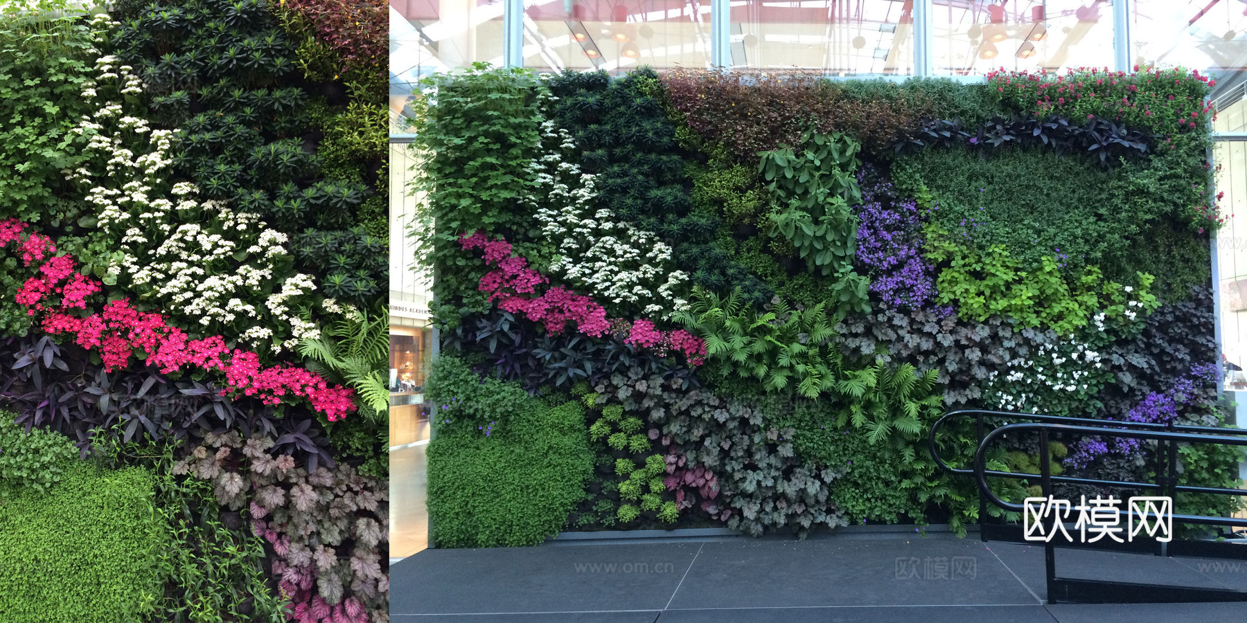 现代 植物墙下载