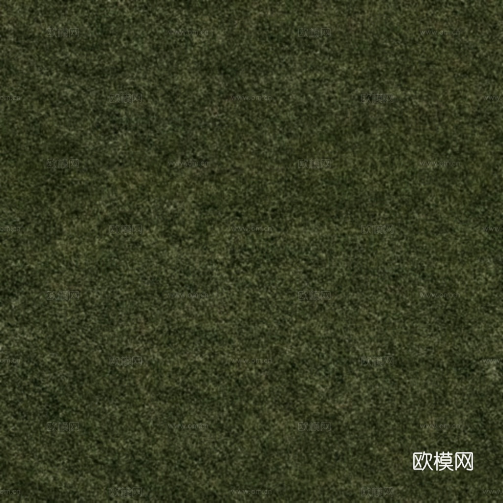 绿地 草皮