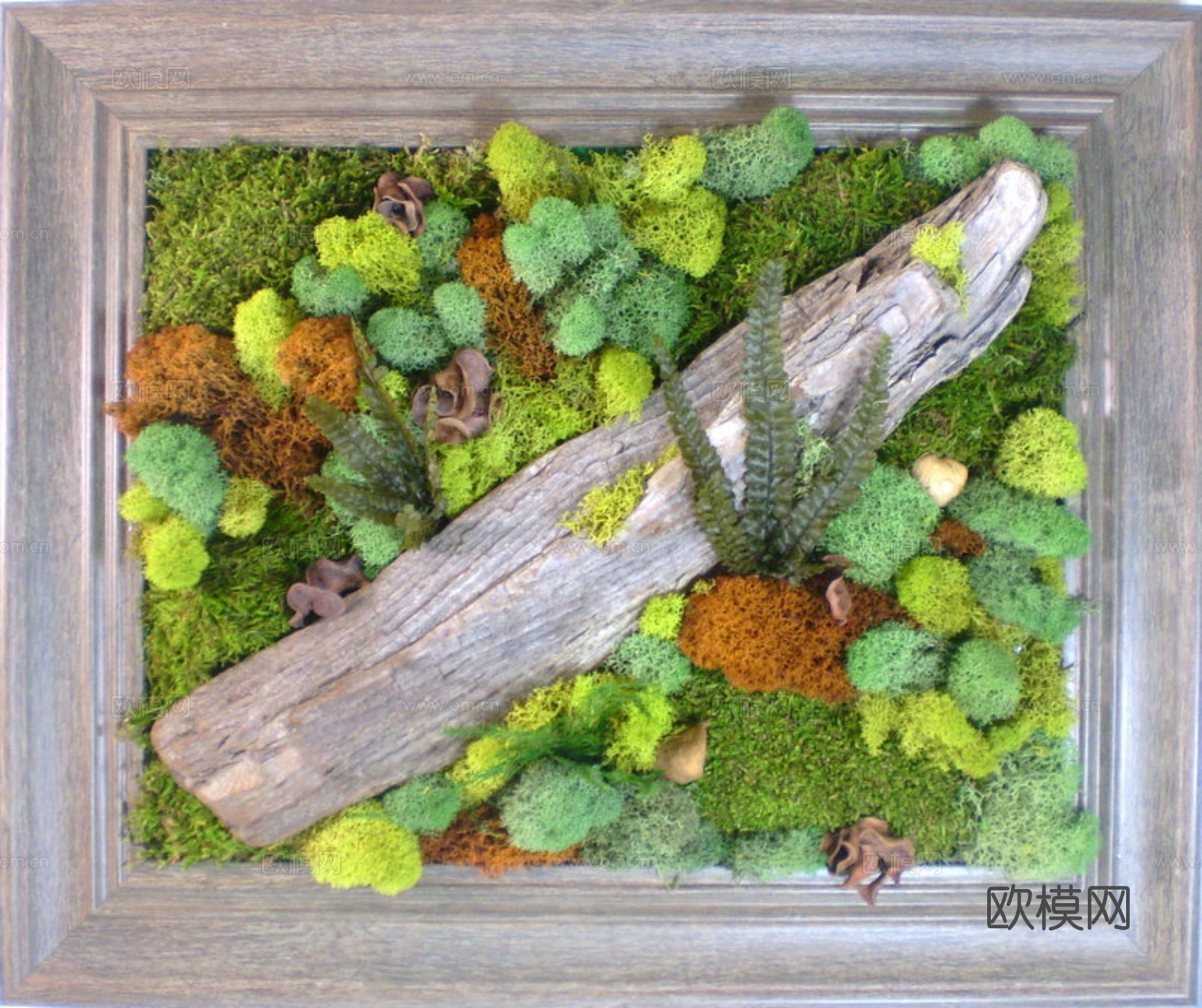 现代 植物墙下载