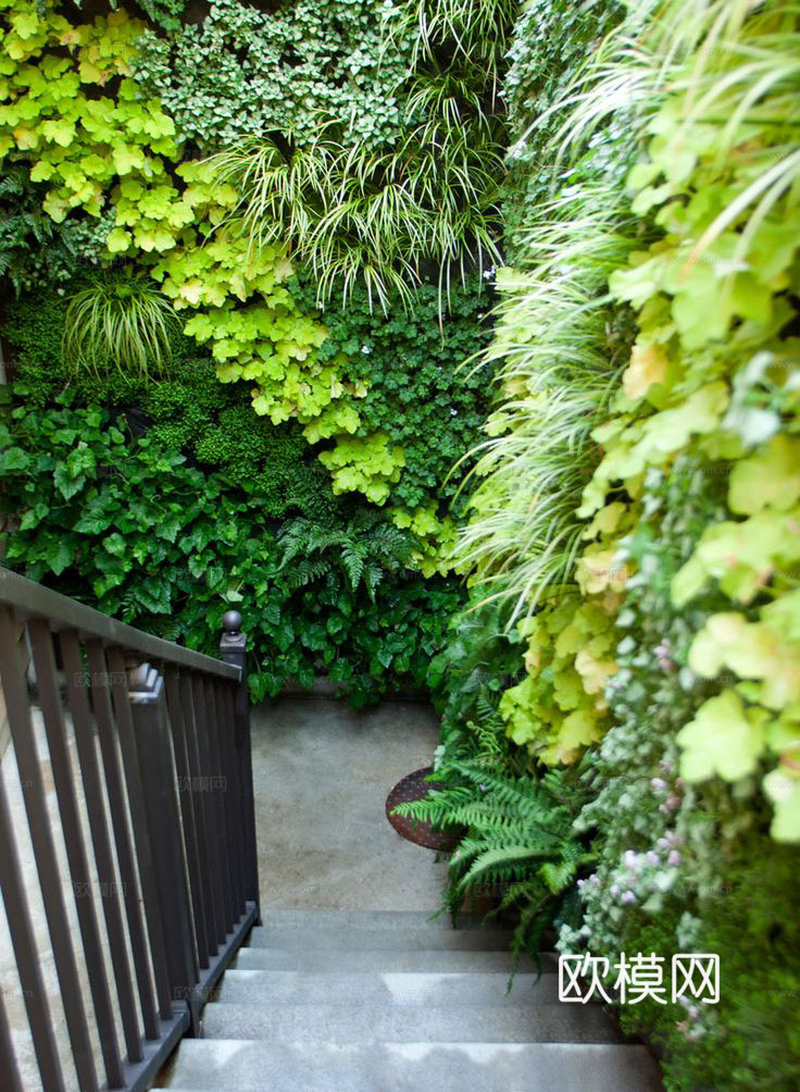 现代 植物墙下载