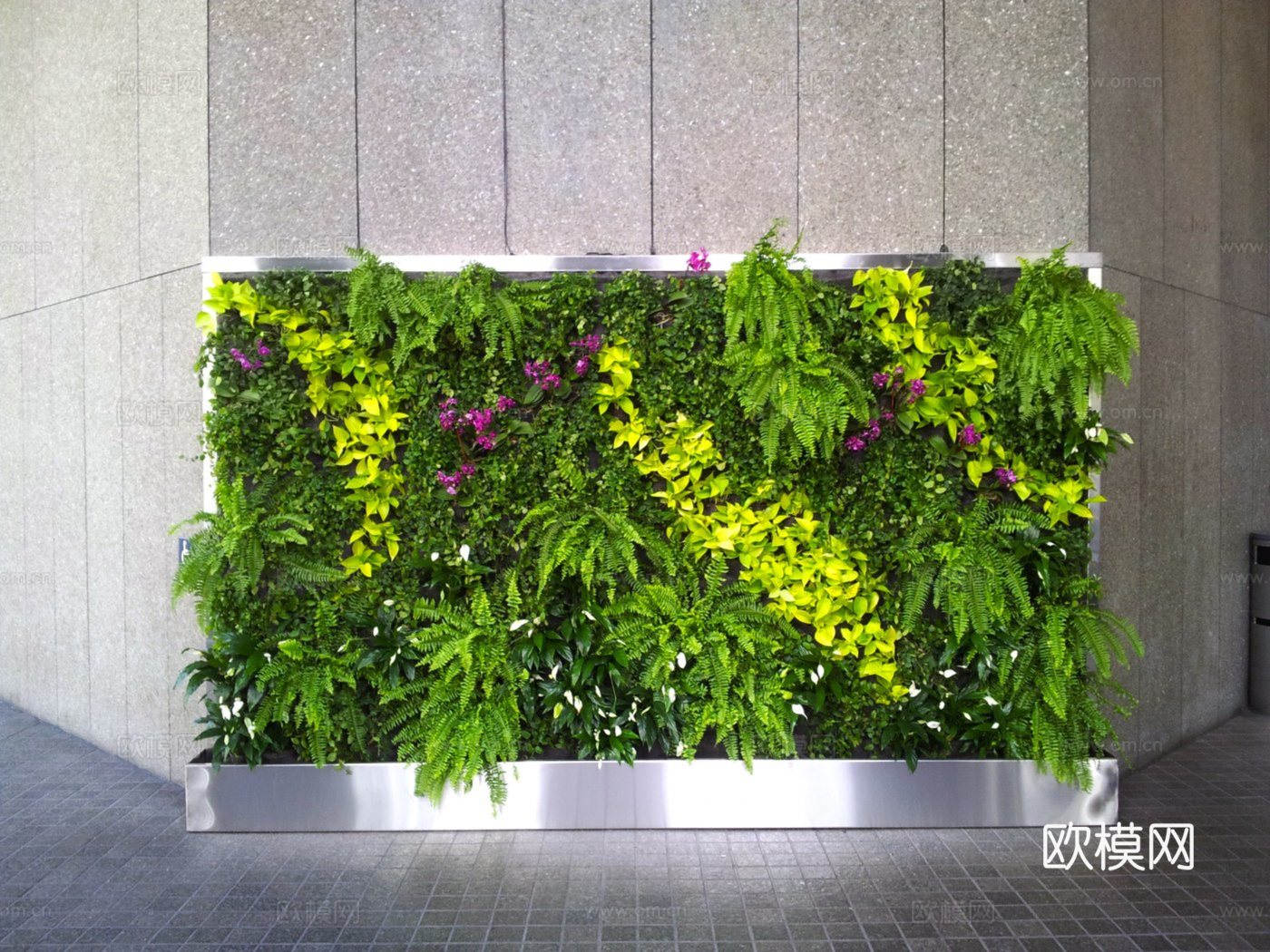 植物墙