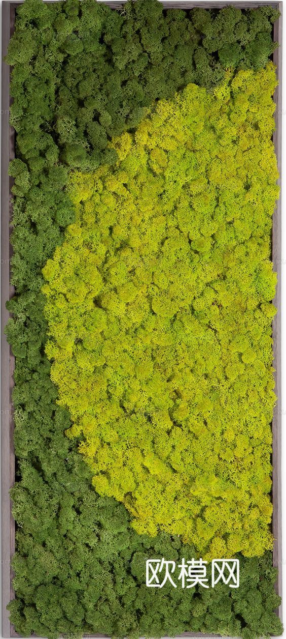 现代 植物墙下载