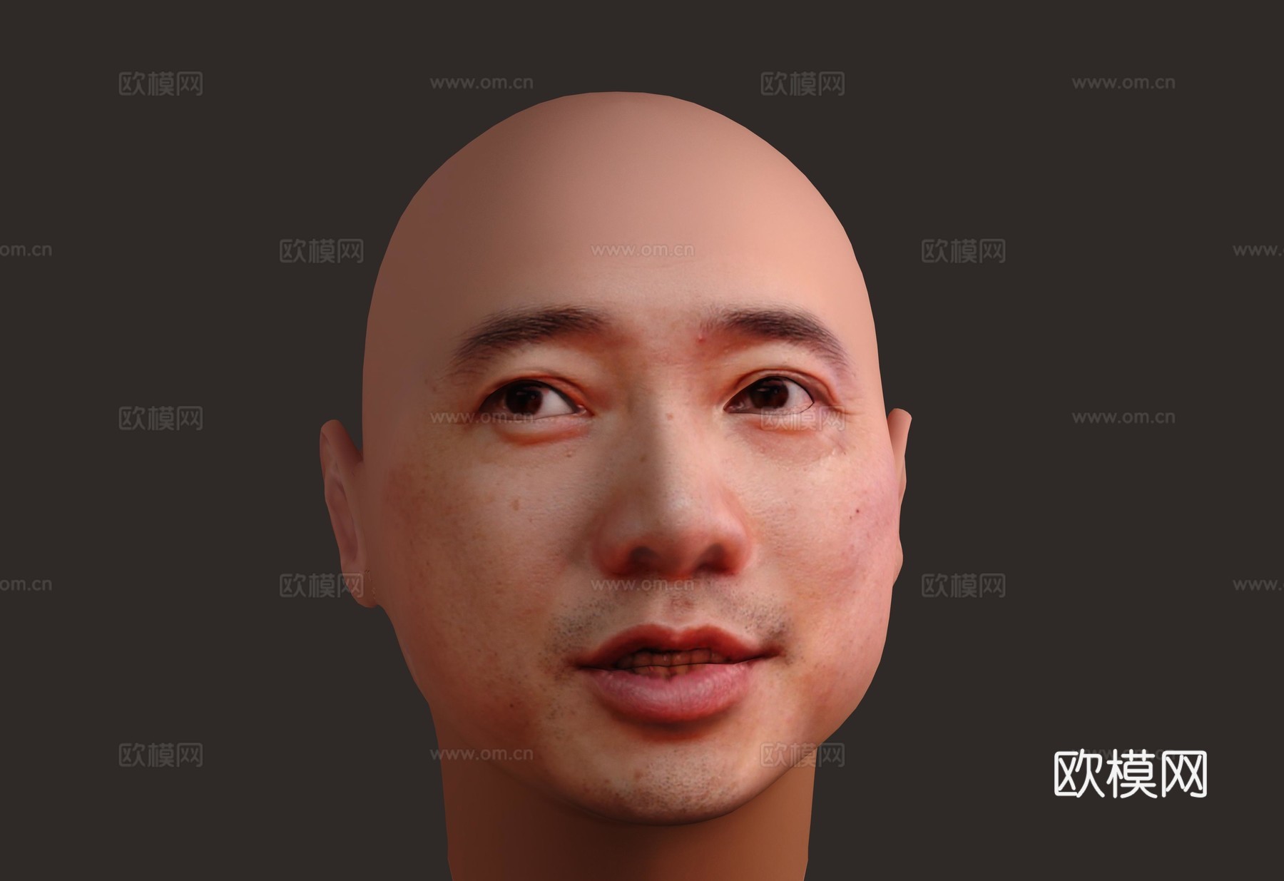 人物 头像 肖像 男人 模特 明星3d模型