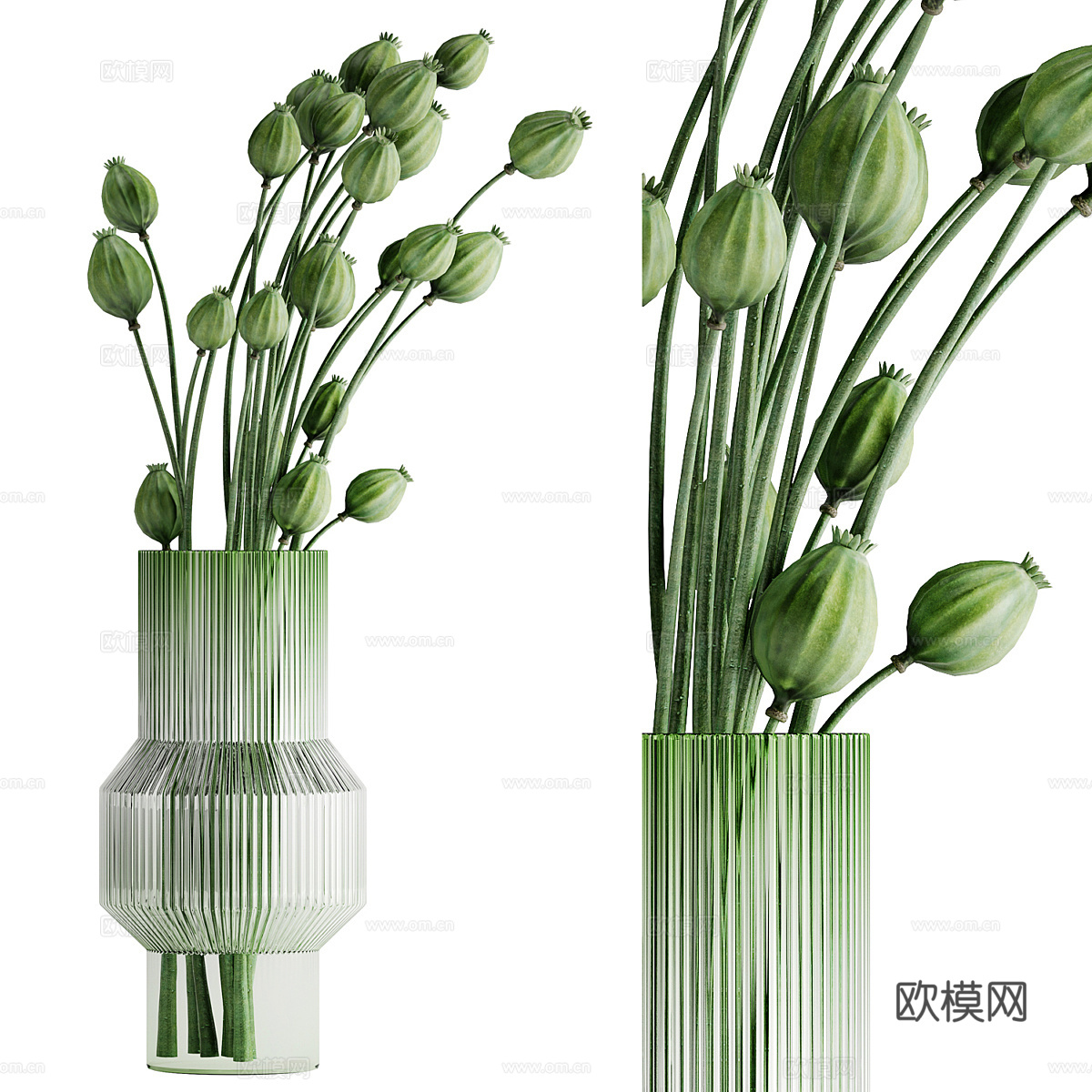 绿植水培 花瓶 花卉3d模型