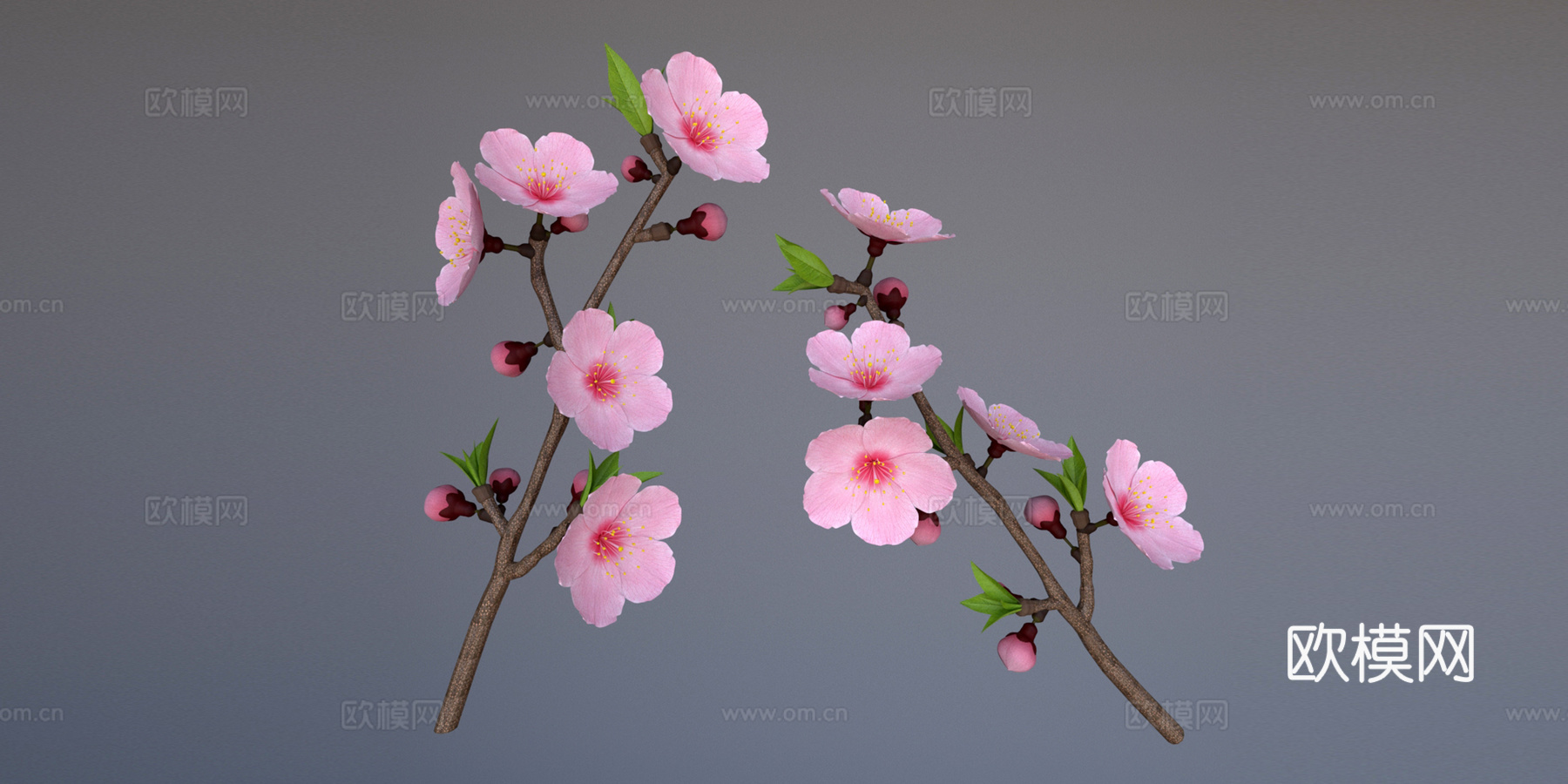 桃花 桃树3d模型