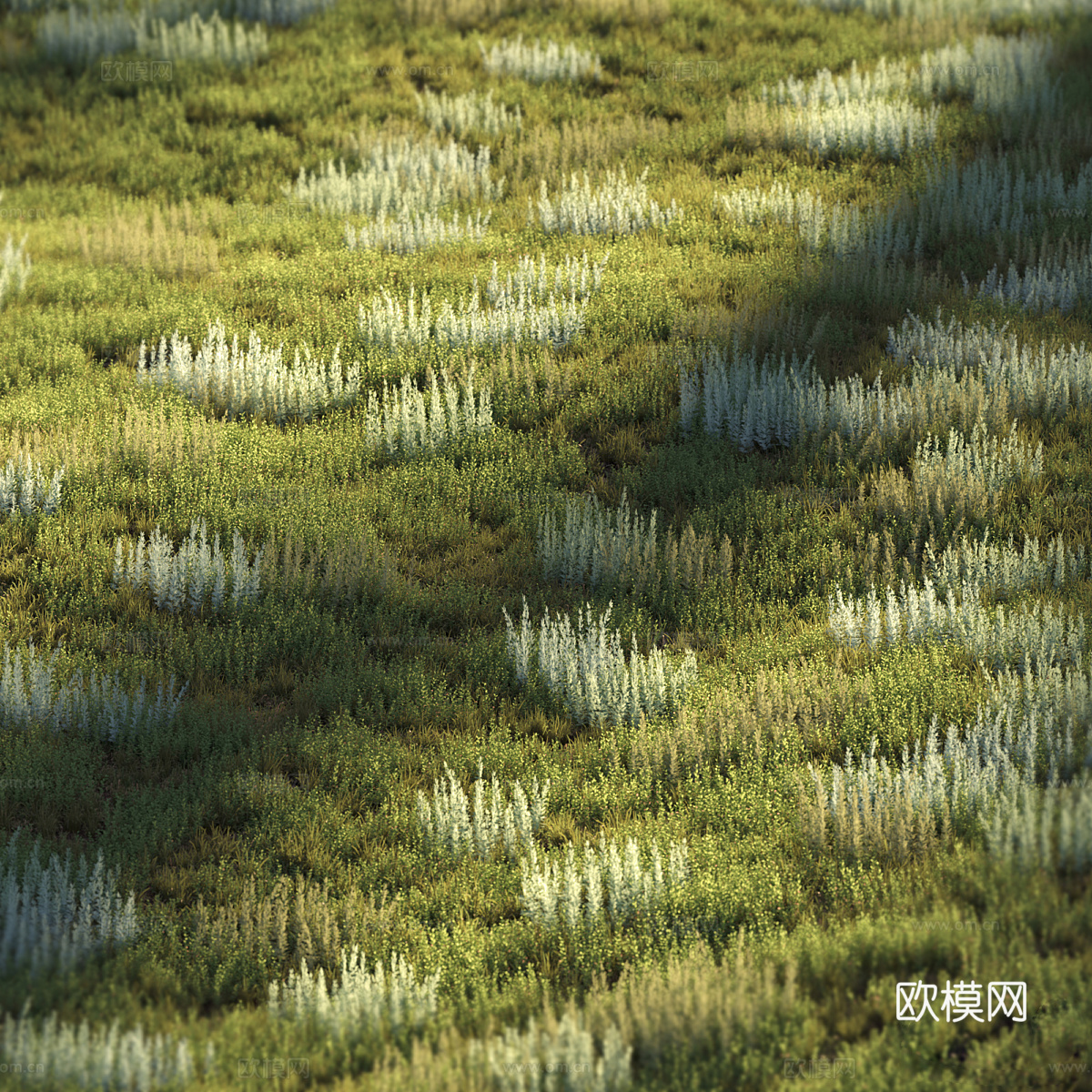 草是綠色的3d模型下载