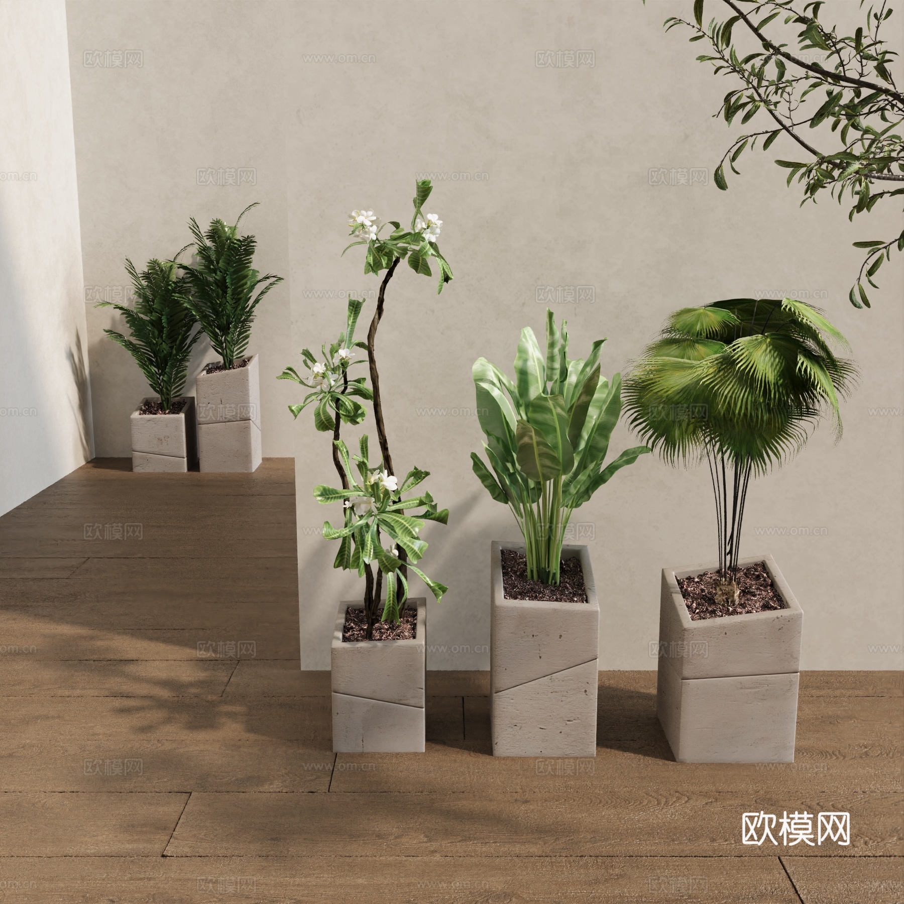 盆栽 盆景3d模型