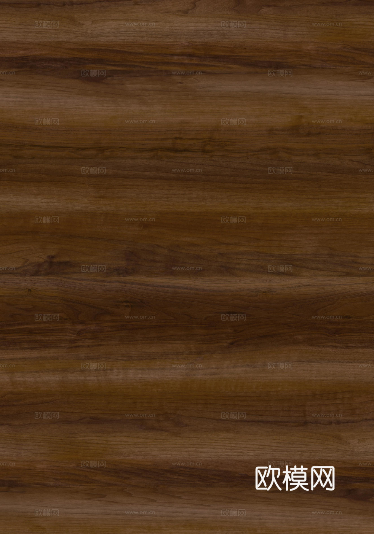 水曲柳下载（渲染图2）