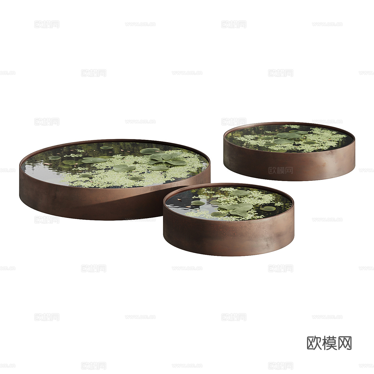 花园池塘 睡莲 浮萍3d模型