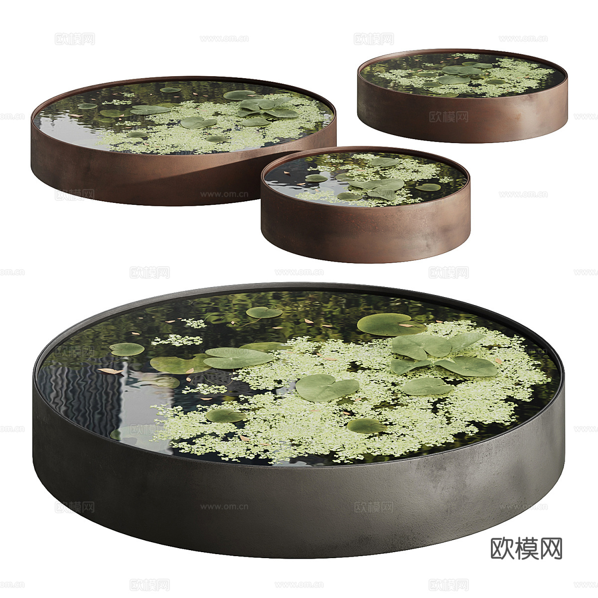 花园池塘 睡莲 浮萍3d模型