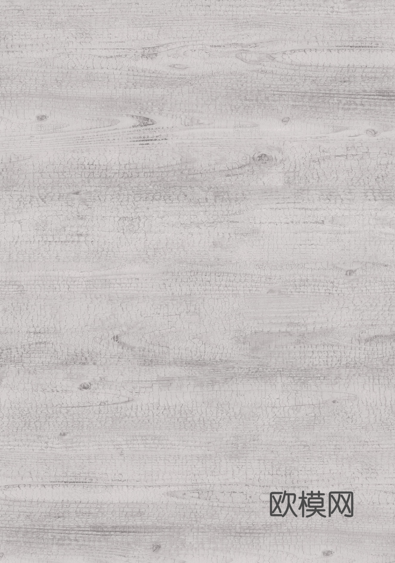 水曲柳下载（渲染图4）