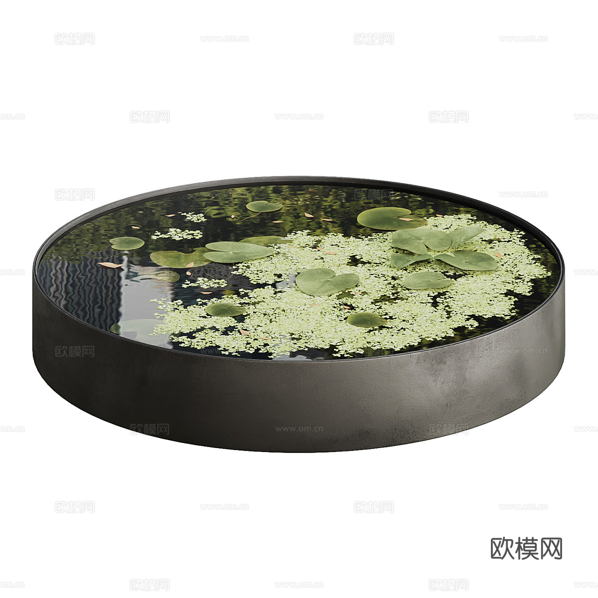 花园池塘 睡莲 浮萍3d模型