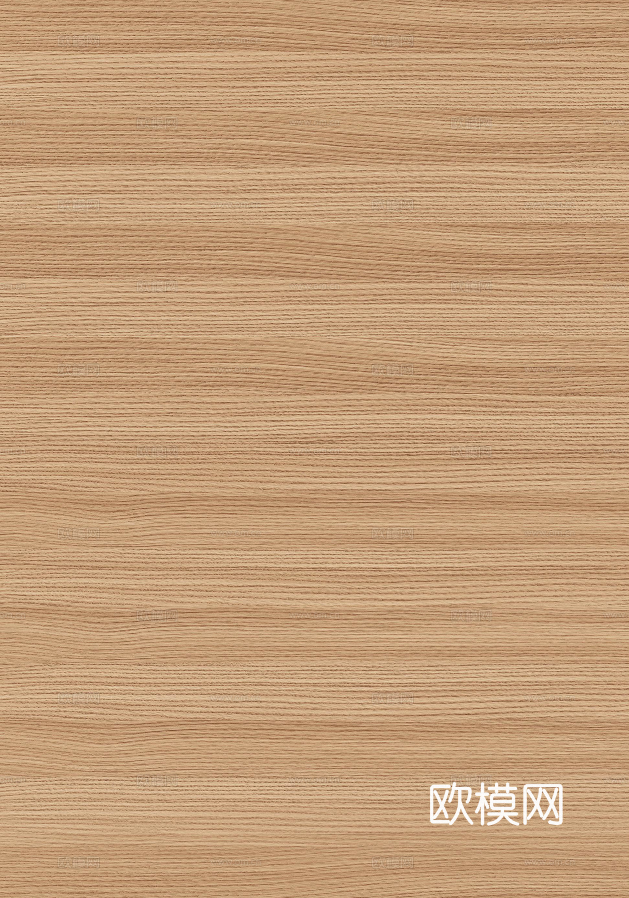 沙比利下载（渲染图2）