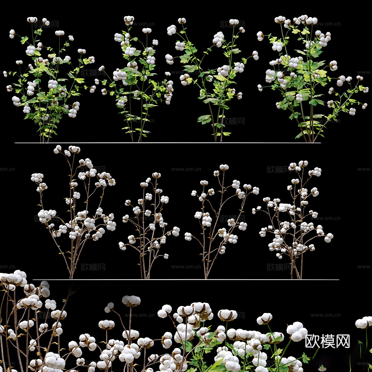 棉花3d模型下载（渲染图1）
