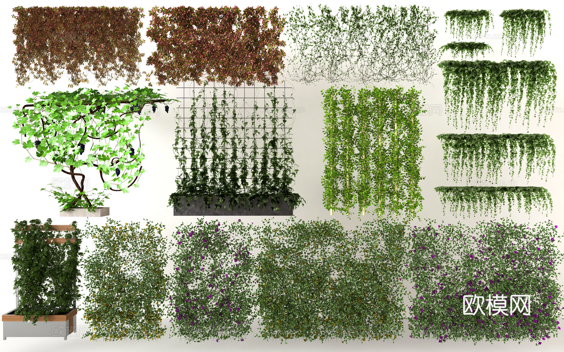 现代藤蔓爬藤花墙 爬山虎植物墙 绿植藤蔓蔷薇爬藤 蔷薇花墙藤3d模型