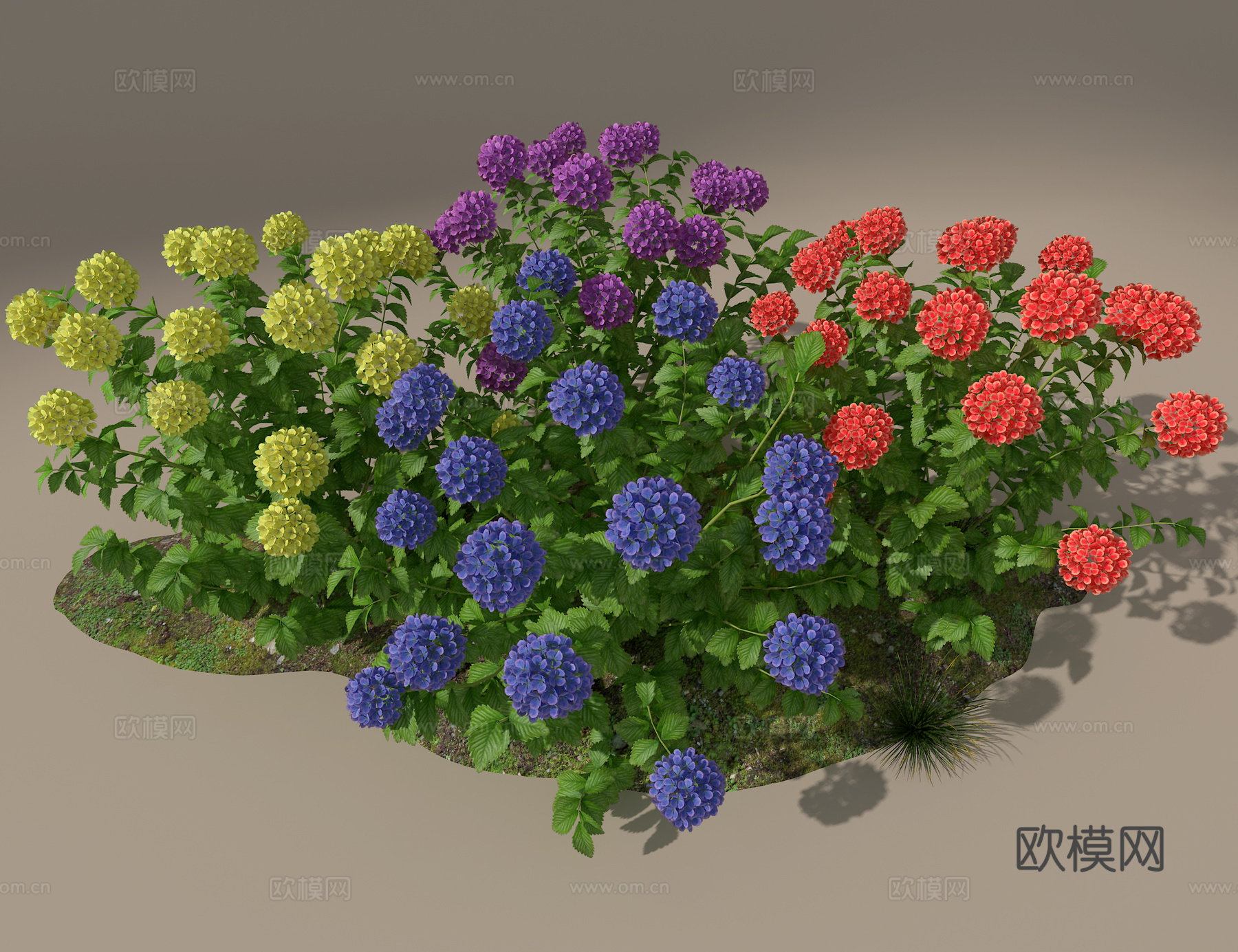 绣球花3d模型