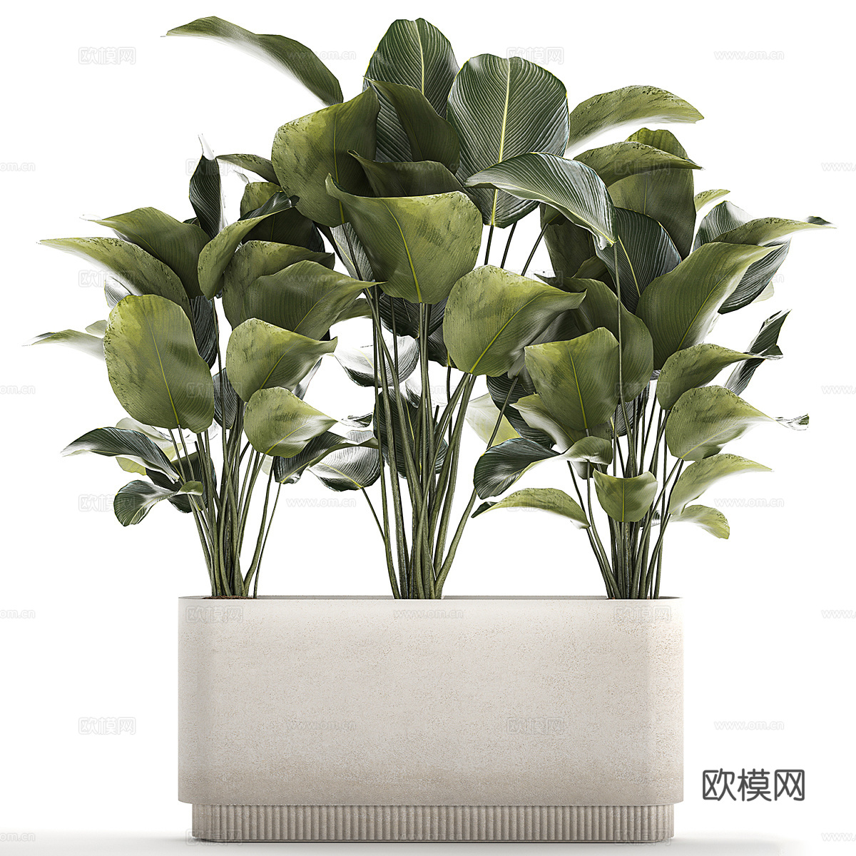 现代绿植盆栽3d模型