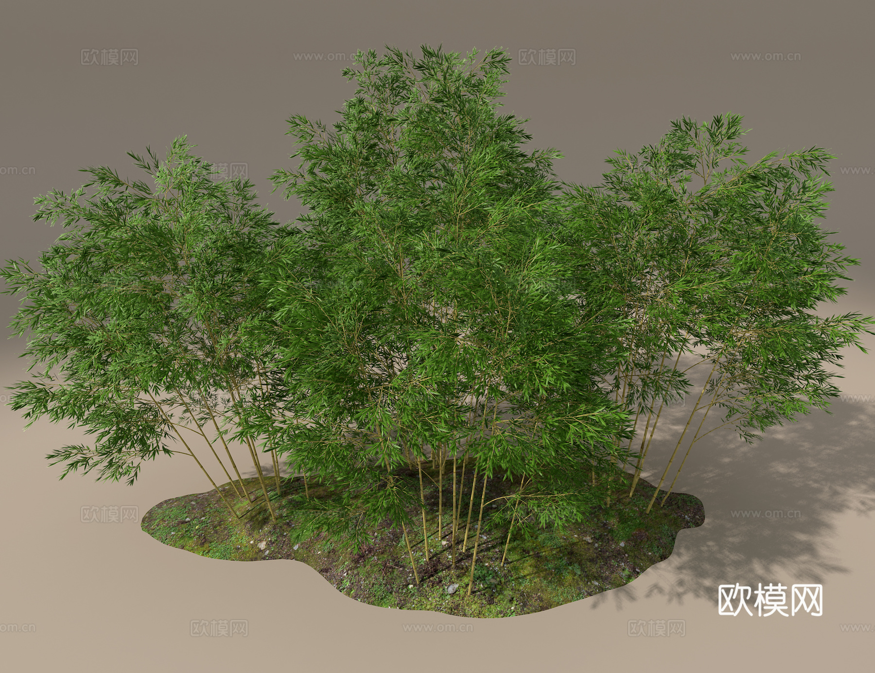 竹子3d模型下载