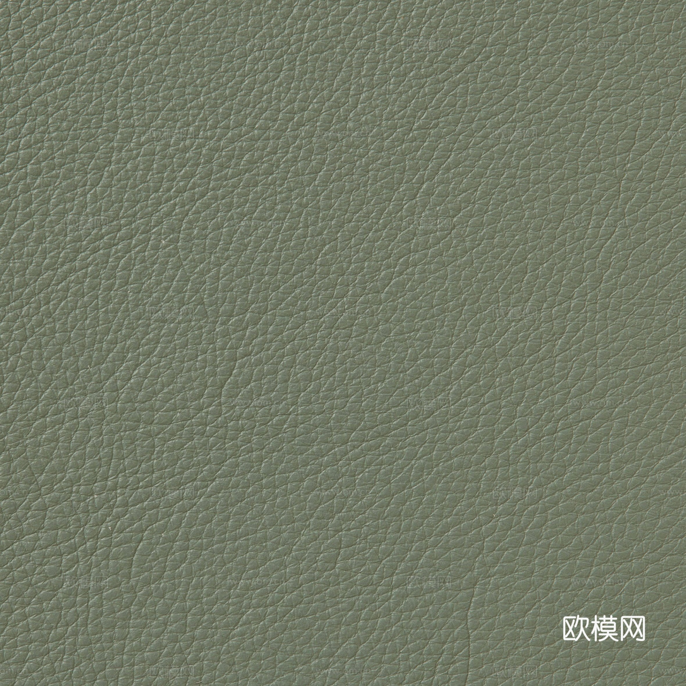 绿色粗纹皮革