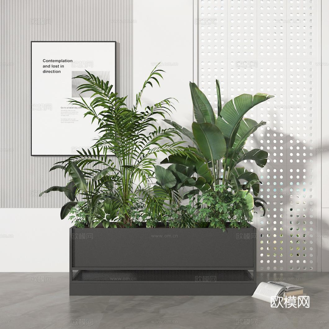 植物组合3d模型