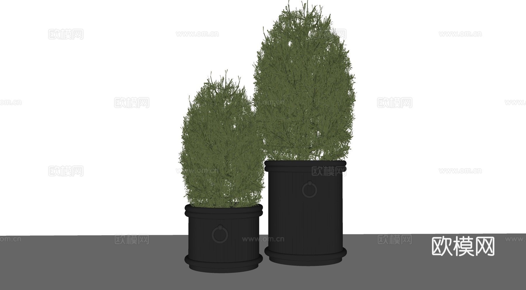 CCD现代酒店苔藓球 盆栽 绿植 盆景 花盆su模型