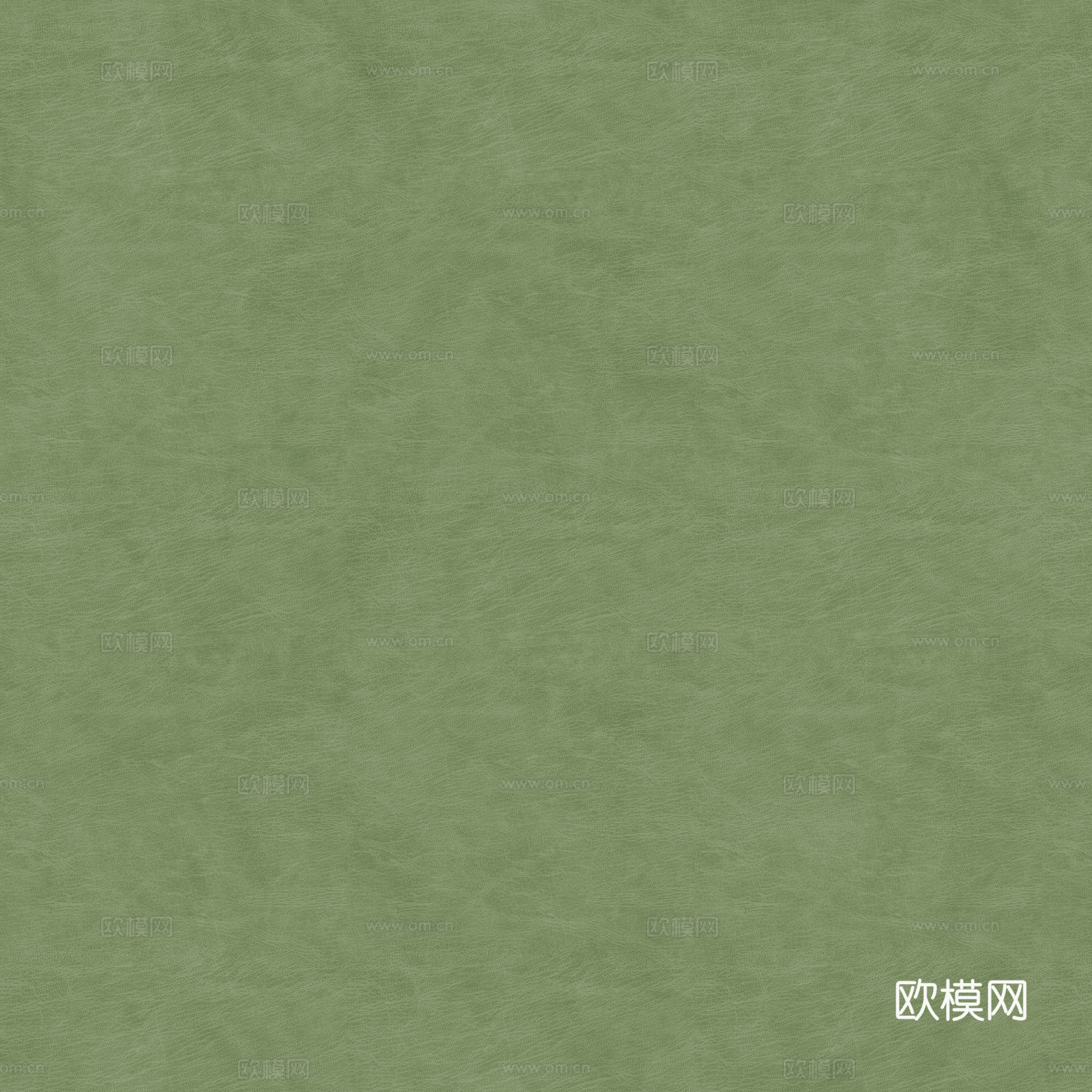 绿色细纹皮革