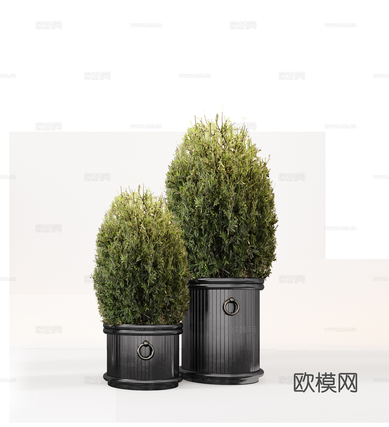 CCD现代酒店苔藓球 盆栽 绿植 盆景 花盆su模型