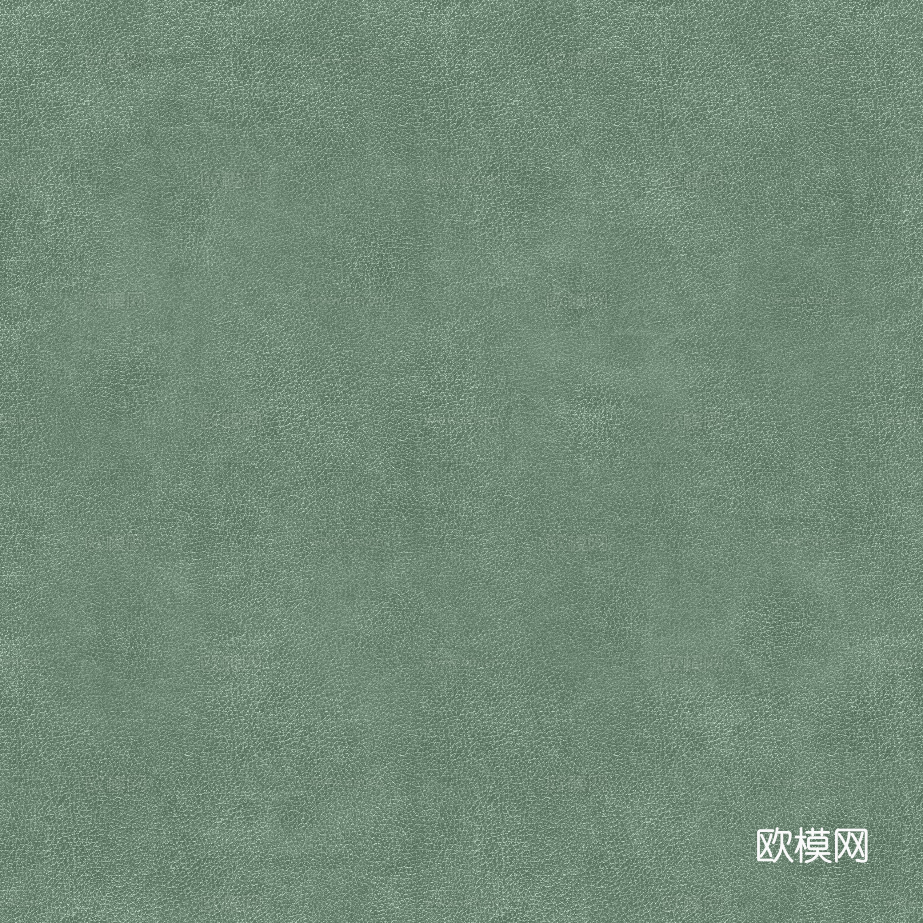 绿色细纹皮革