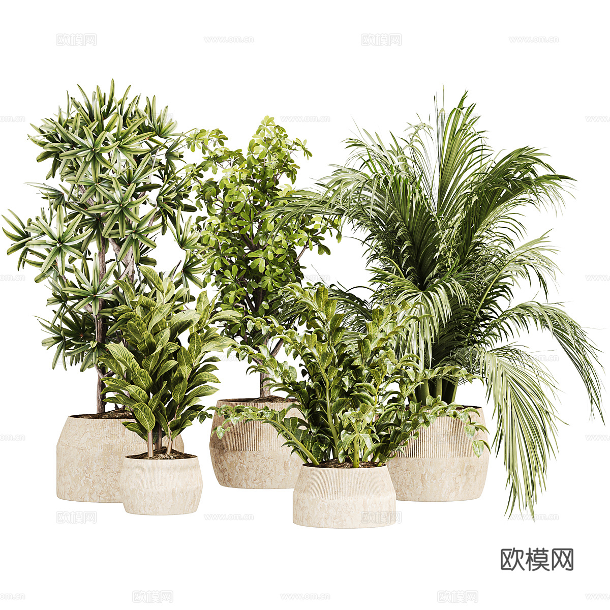 新中式侘寂绿植盆栽3d模型