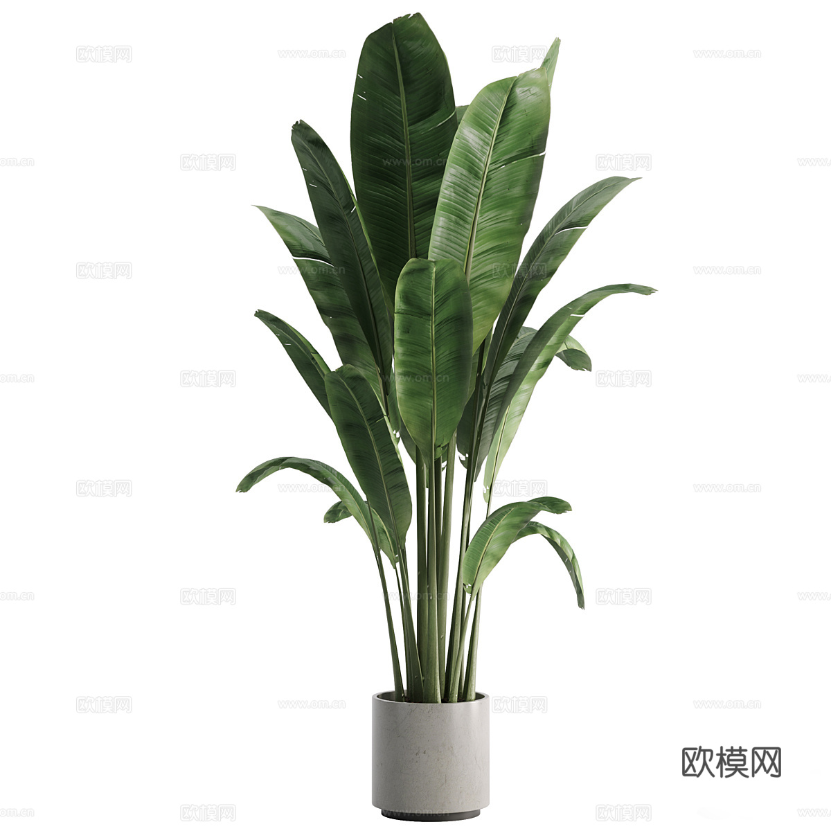 现代绿植盆栽3d模型