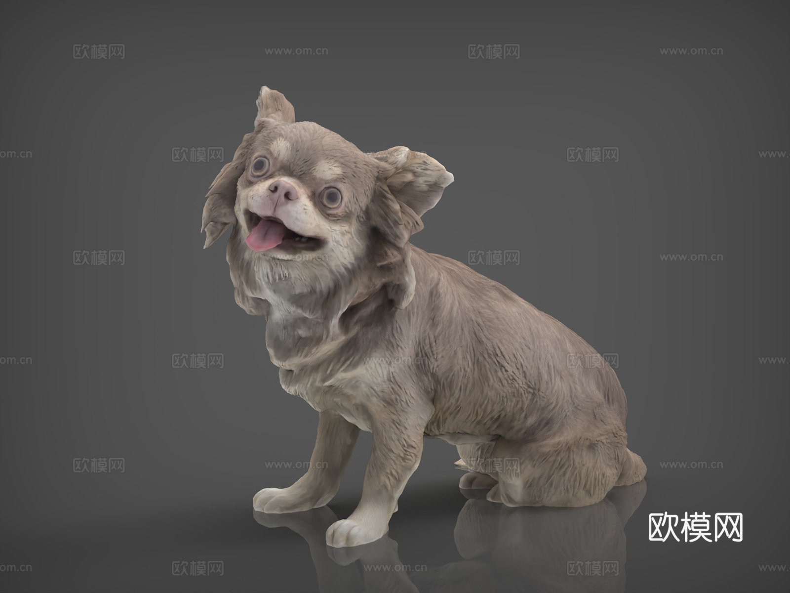 狗 宠物  宠物狗  北京犬  蝴蝶犬3d模型