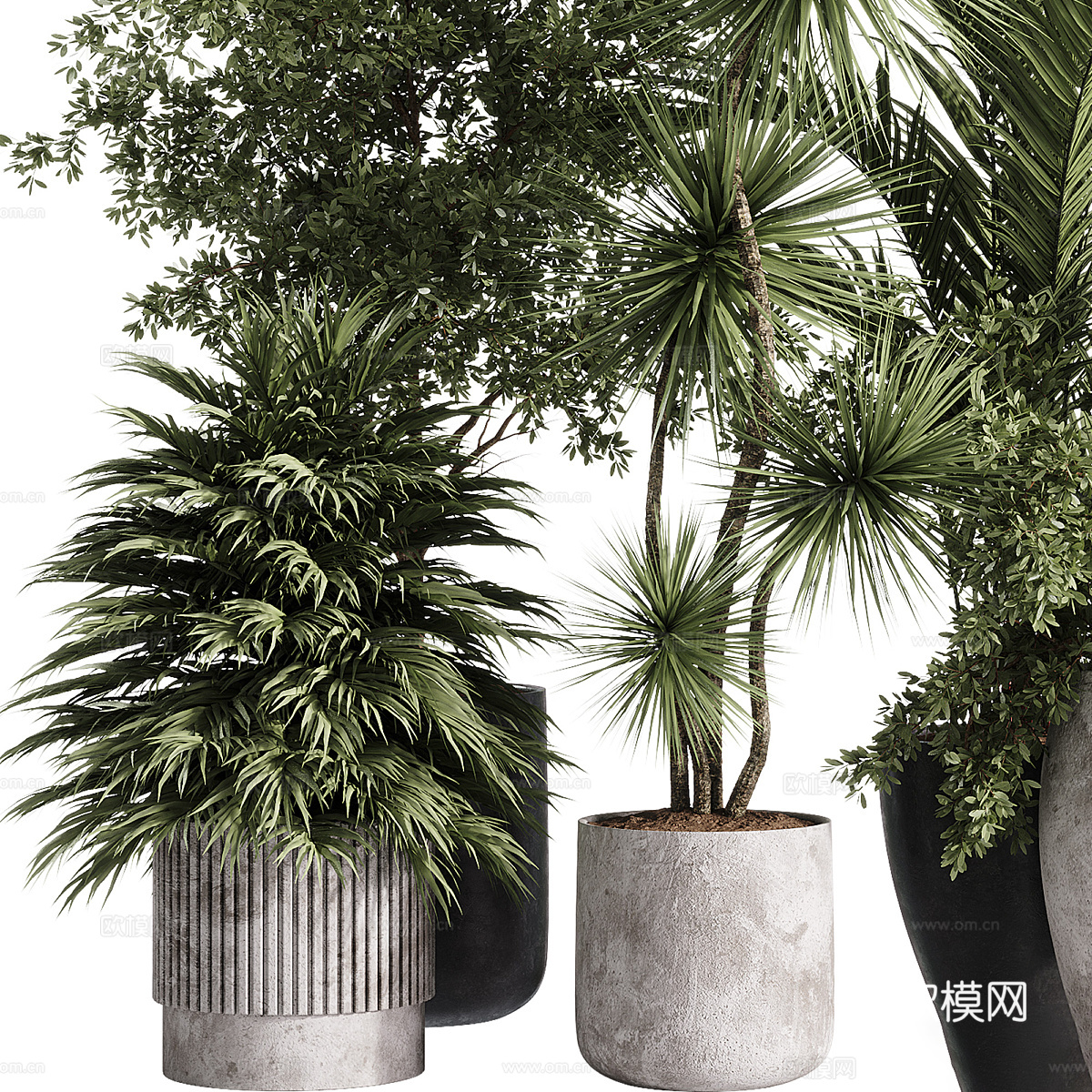 新中式绿植盆栽3d模型