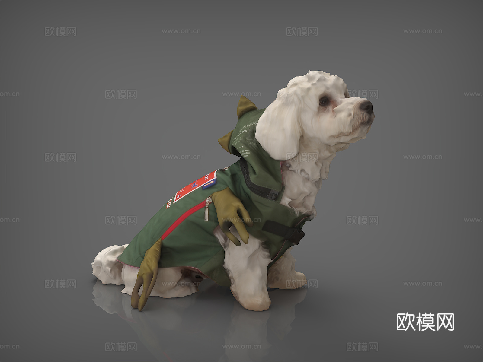 狗  小狗 宠物狗  比熊犬  白色狗  泰迪  穿衣服的狗3d模型