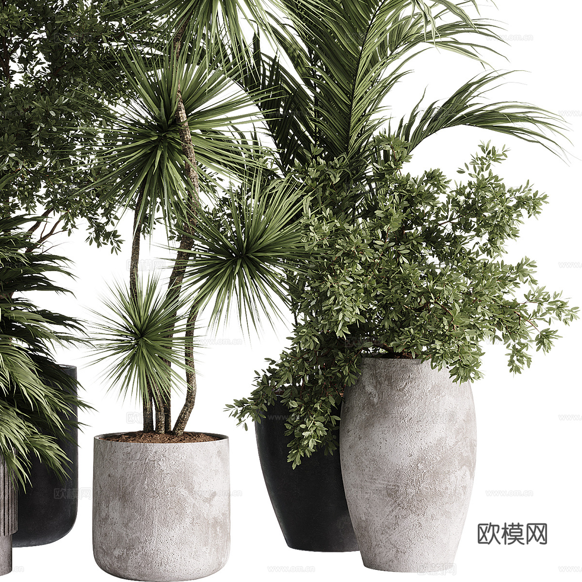 新中式绿植盆栽3d模型