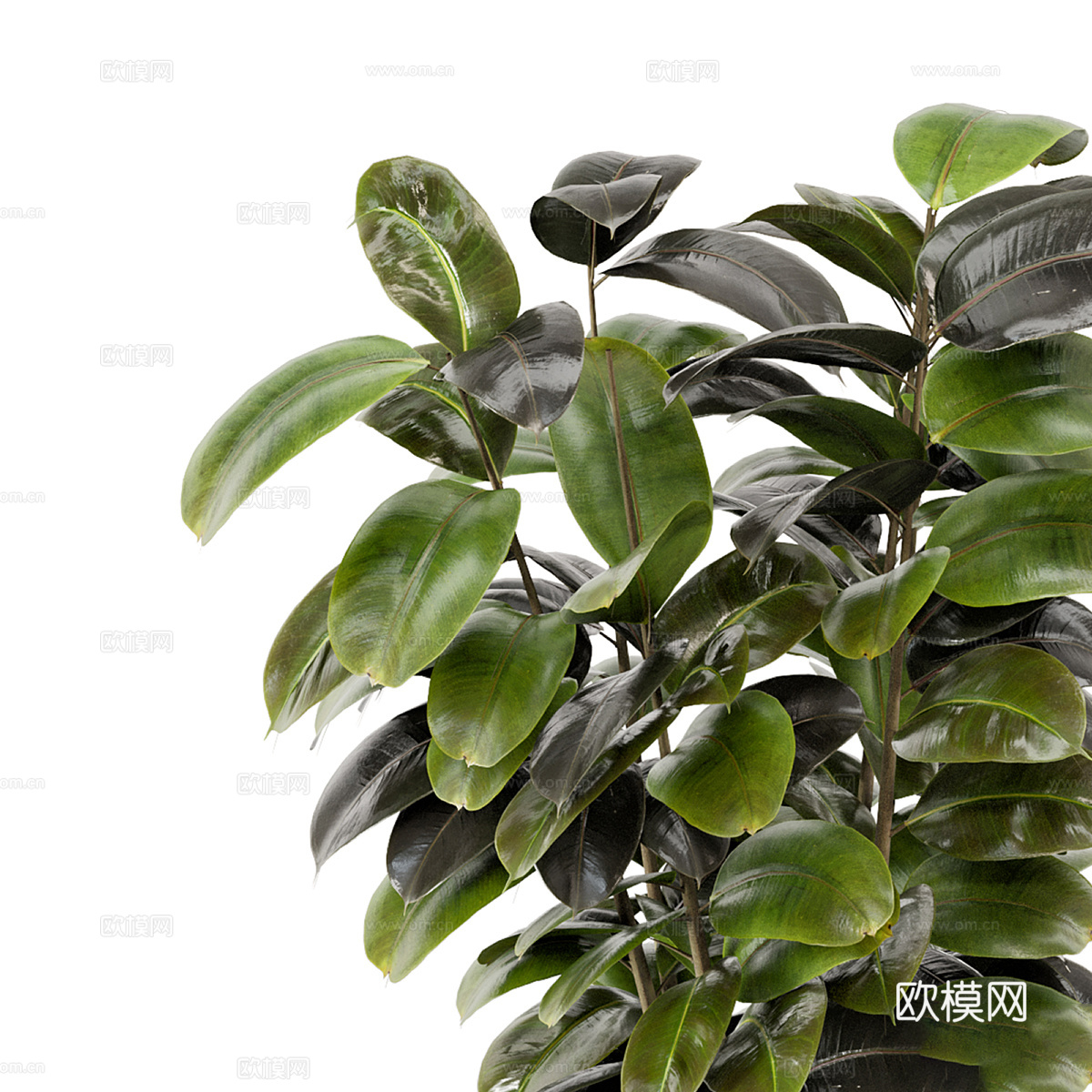 新中式绿植盆栽3d模型