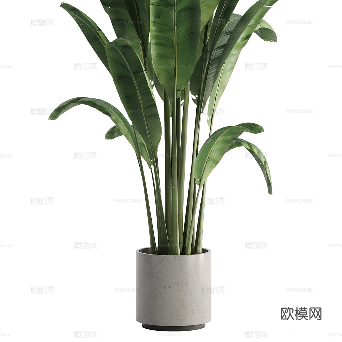 现代绿植盆栽3d模型