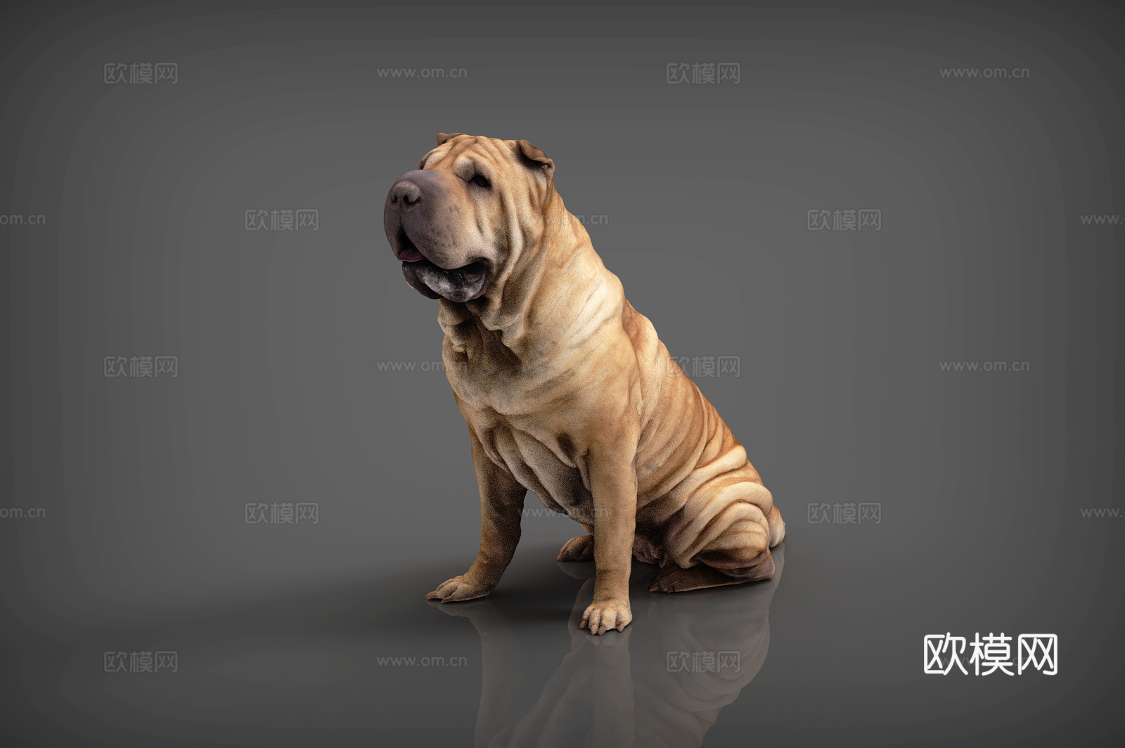 狗 斗牛犬 黄色斗牛犬3d模型