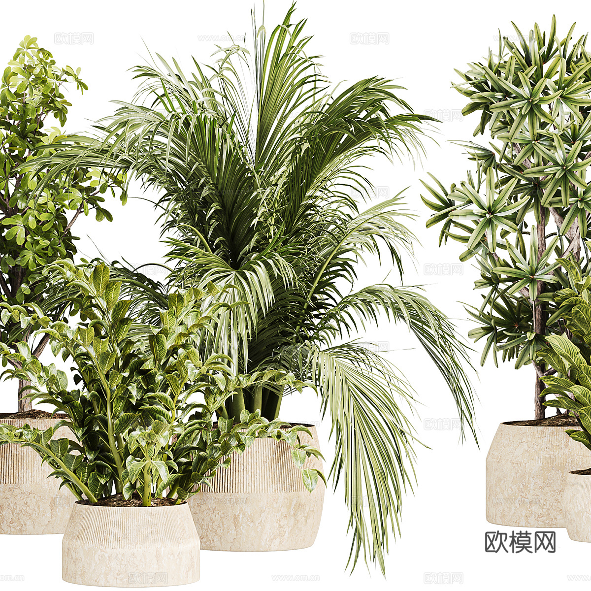 新中式侘寂绿植盆栽3d模型