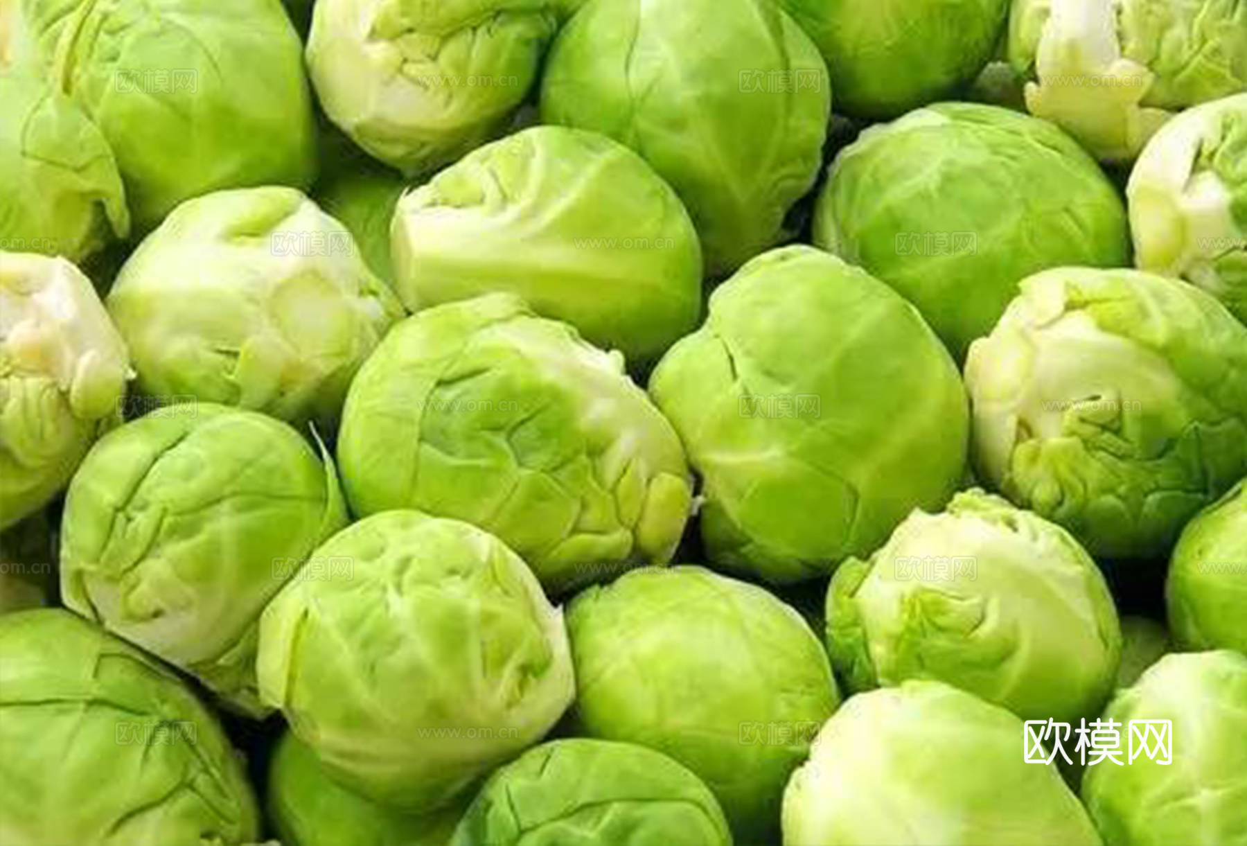包菜 白菜 蔬菜摊位
