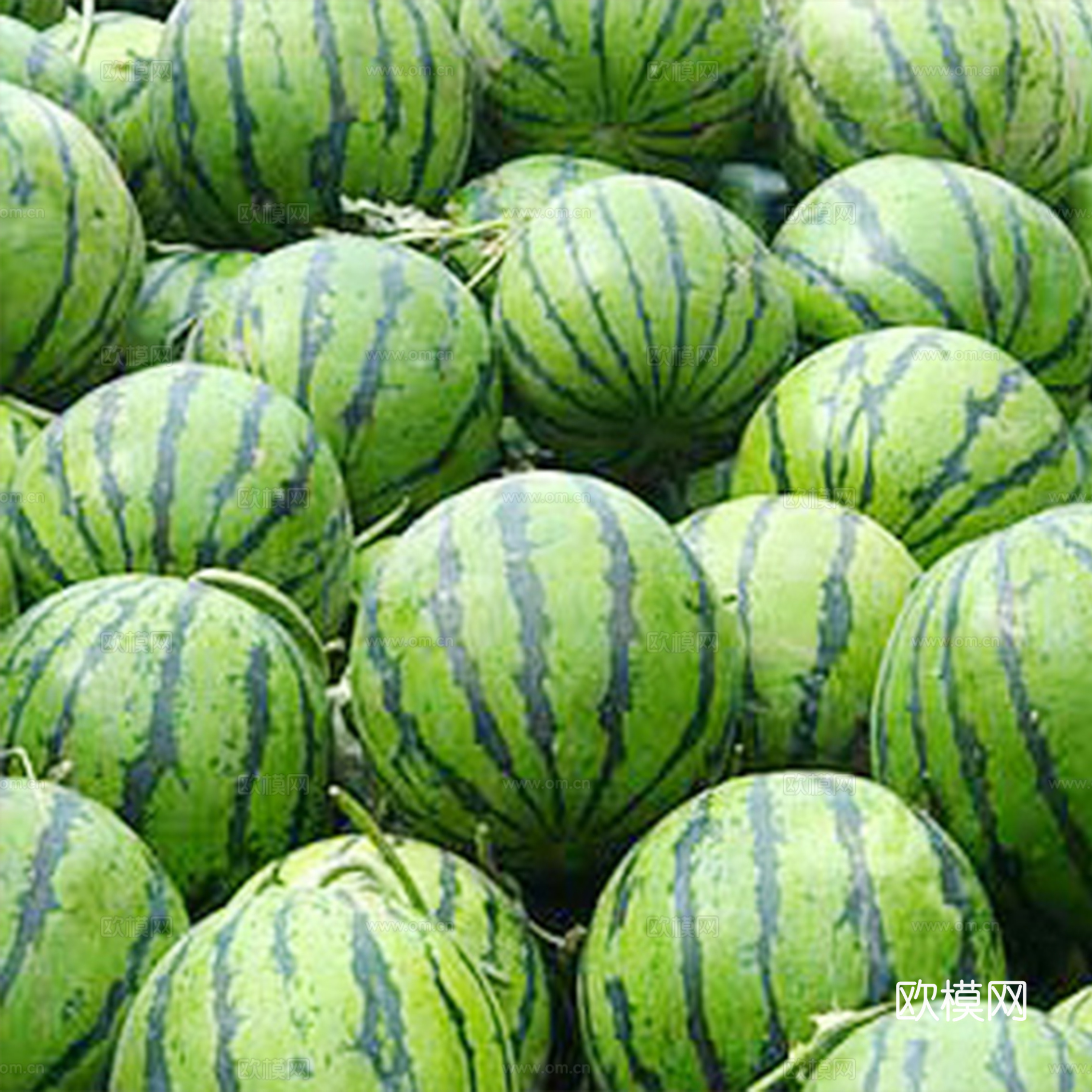 西瓜 水果摊位