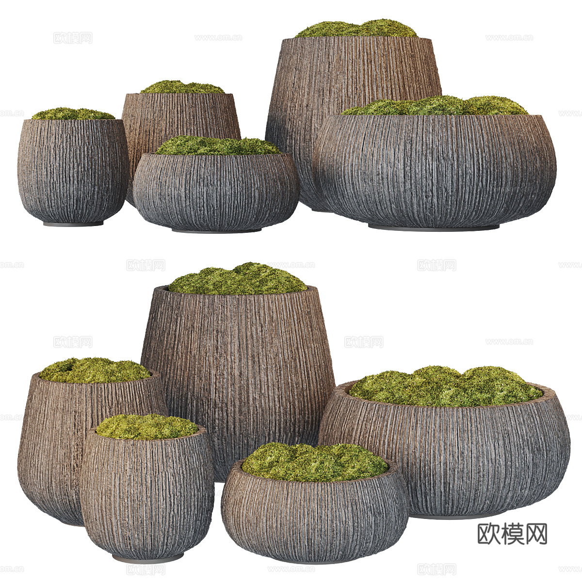 新中式盆景 苔藓3d模型