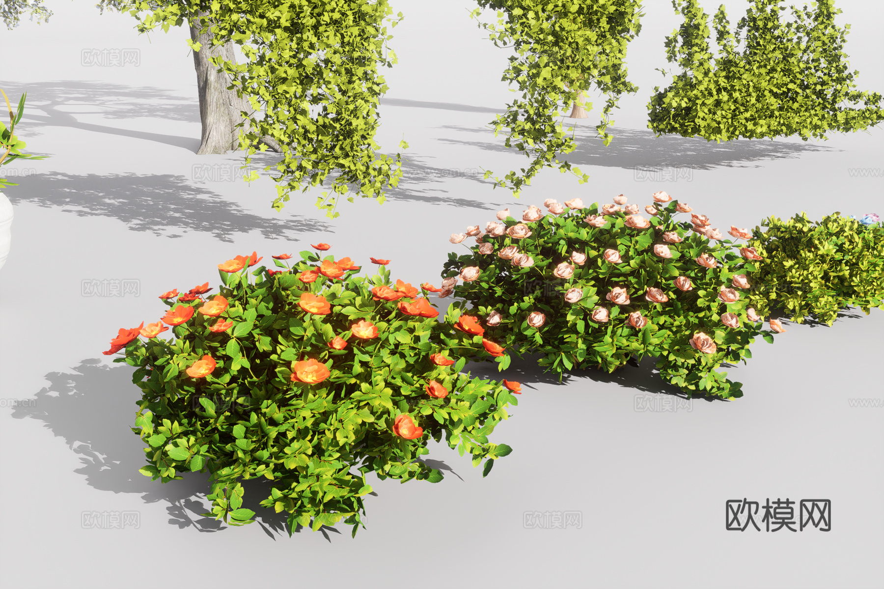 植物组合3d模型