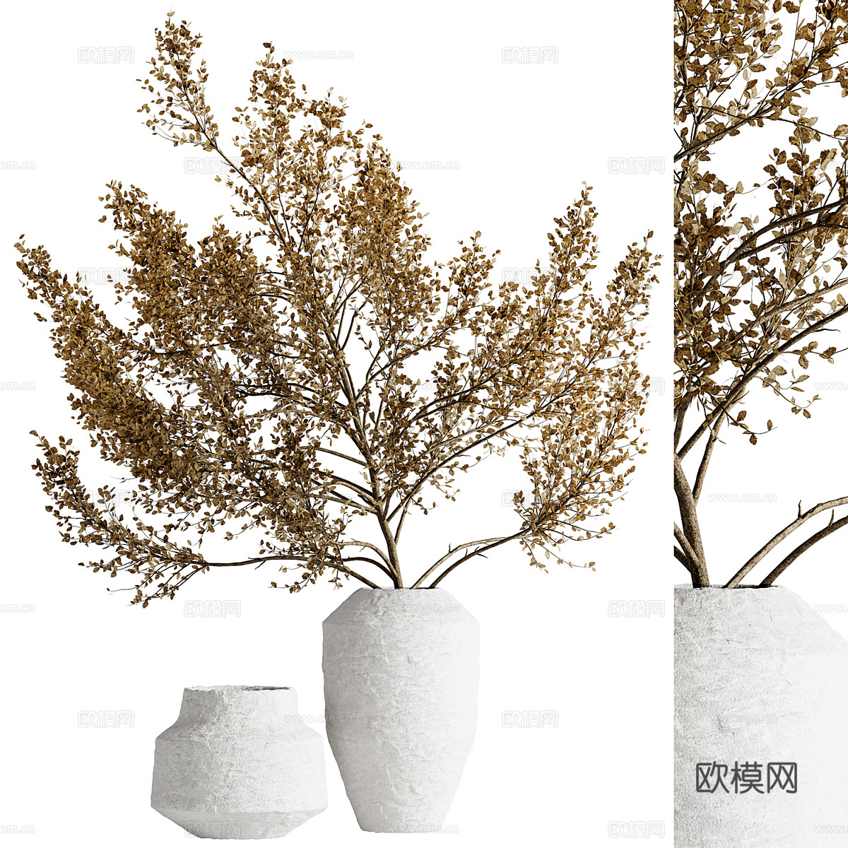 干花束03免费3d模型