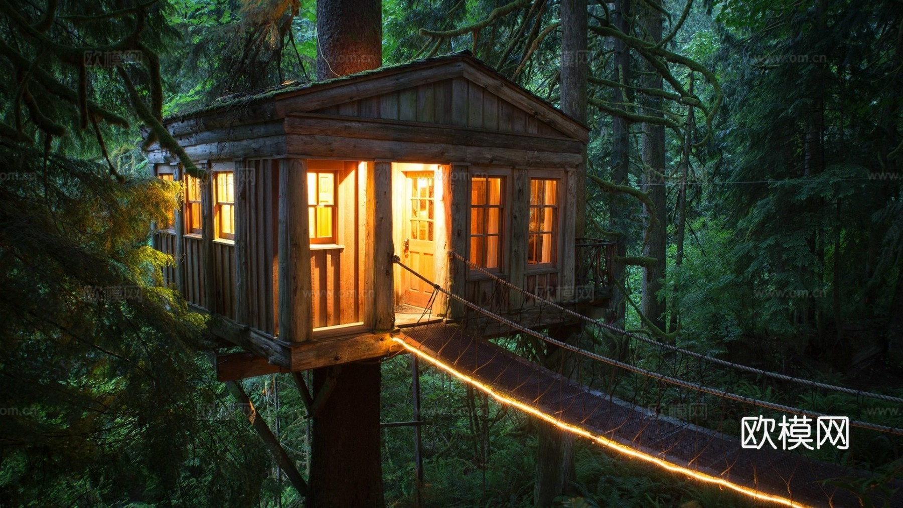 森系 林中小屋 户外自然风景