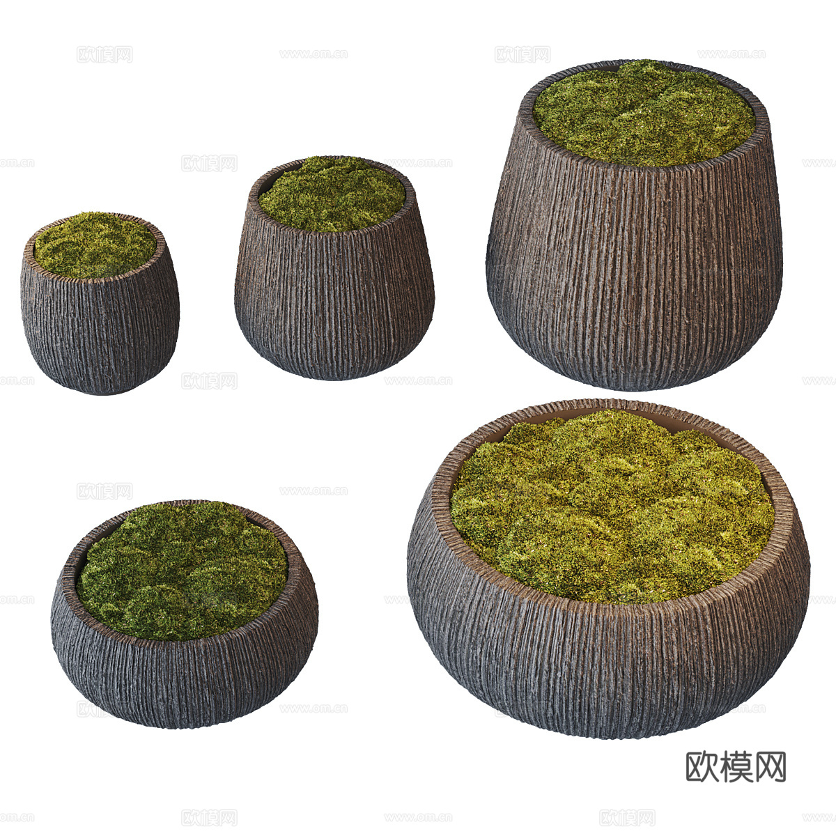 新中式盆景 苔藓3d模型